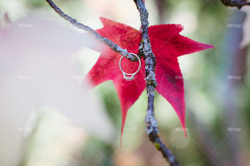 Engagement ring with red leaves 