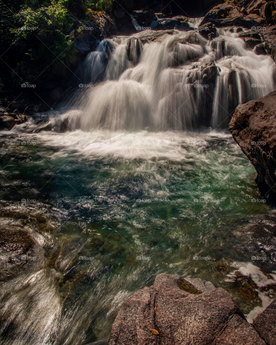 Waterfall flowing in forest