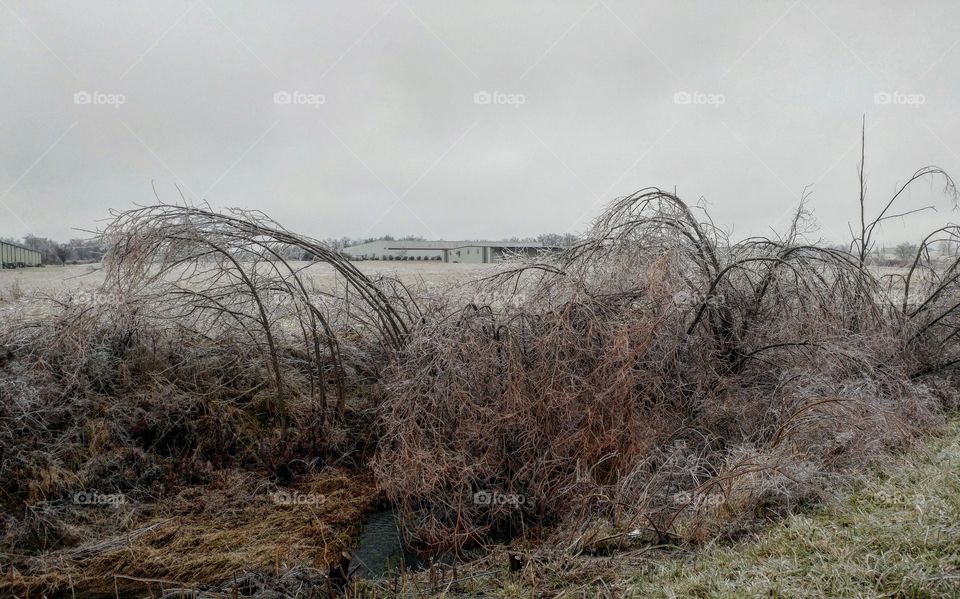 Jan 2017: A winter storm brought 3/4 inch of Ice from freezing rain in Farmington Missouri.