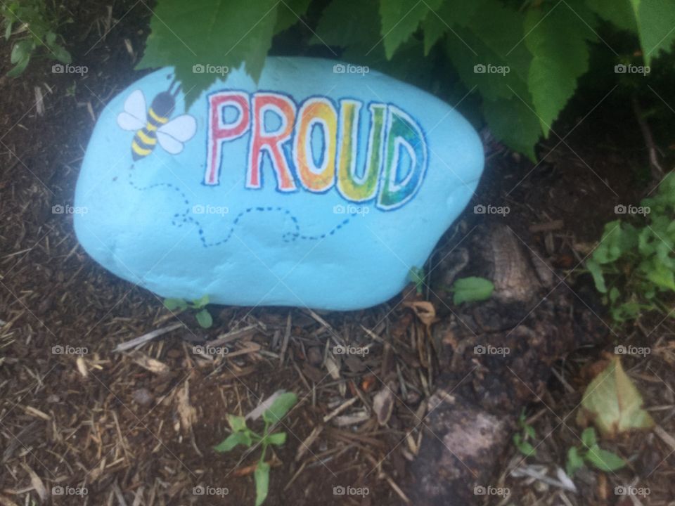 Painted Rock in White Rock 