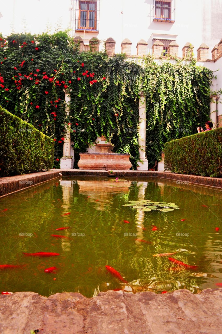 Palace Gardens - Seville, Spain