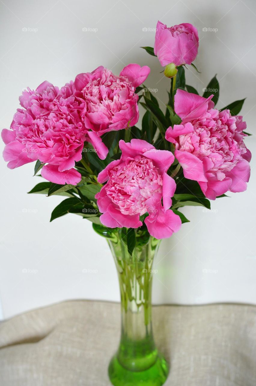 pink flowers in vase