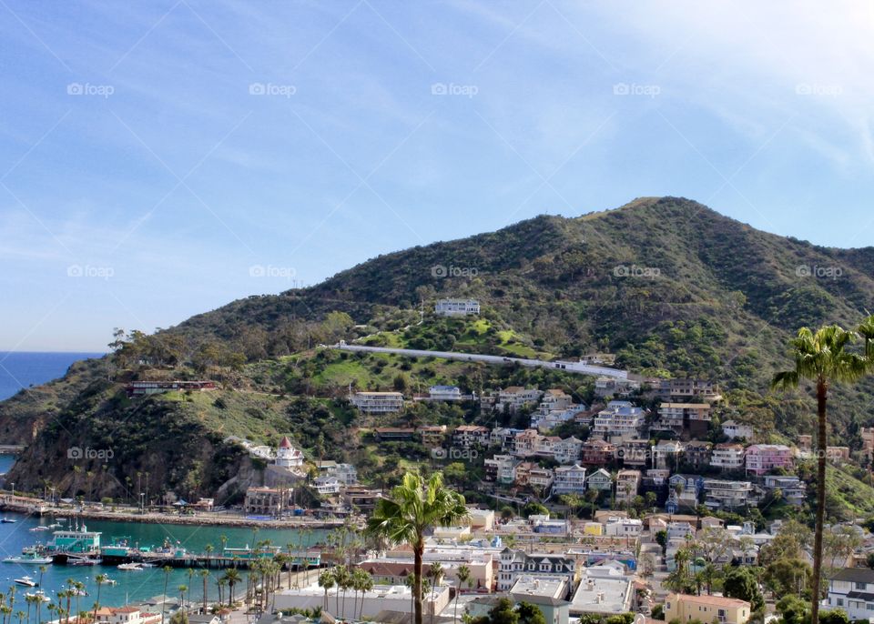 Catalina Island 
