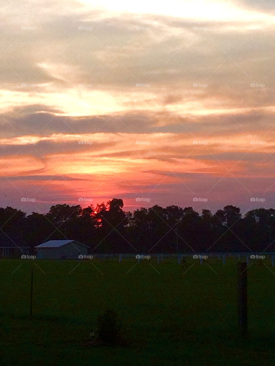 Sunset on farm