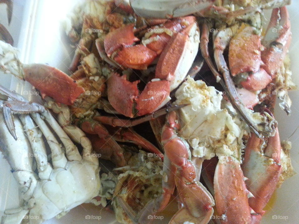 Best Crabs on Earth! . Summer vacation in St.  Petersburg,  FL