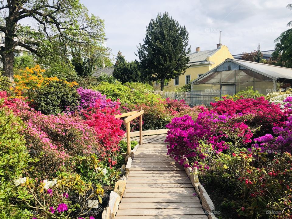 Garden in Austria