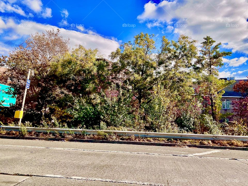 A high speed driving picture as seen from the window of a passing car on route from Forest Green, Brooklyn to Long Island City, Queens, New York on a sunny late afternoon in November 2021. Hypnotic Productions