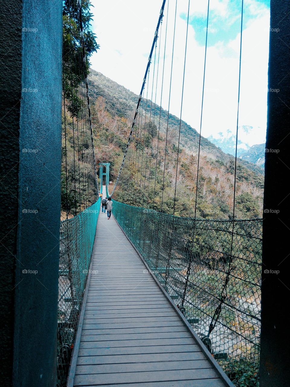 Suspension bridge like a finishing touch in the forest