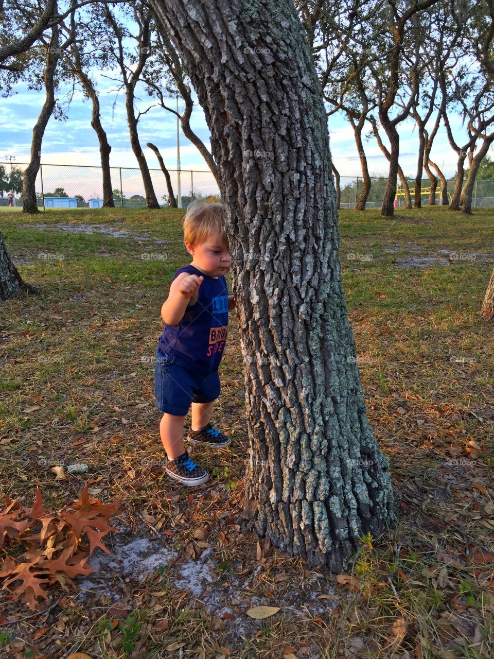 Toddler standing near tree trunk at park