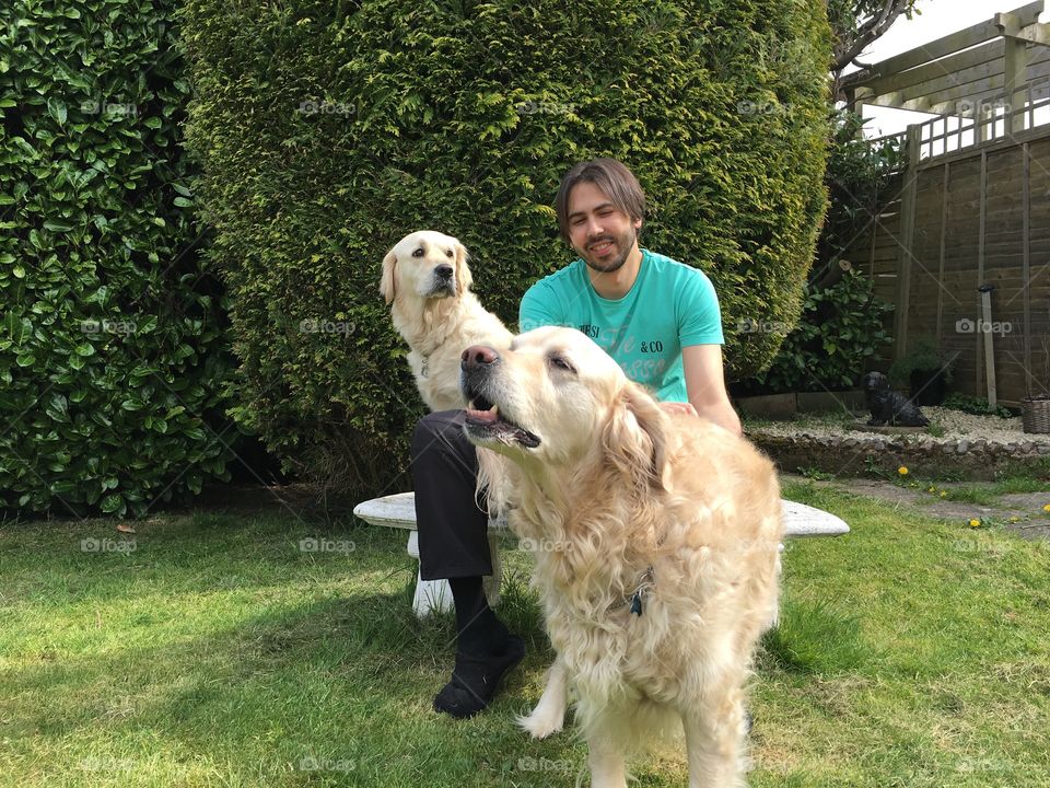 Dog, Mammal, Grass, Portrait, Canine