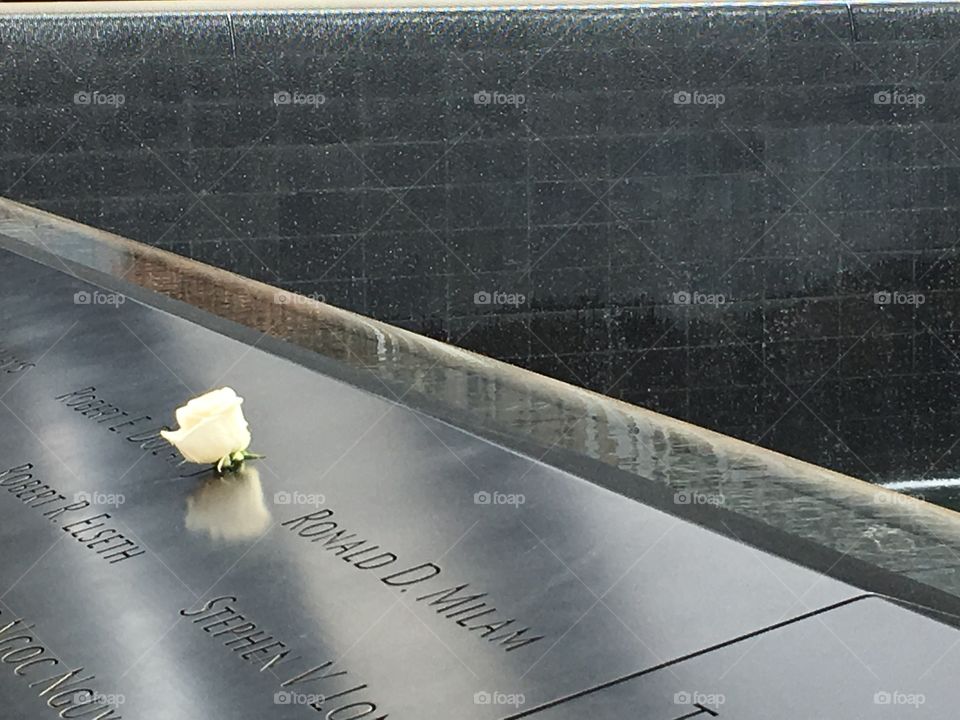 A rose at the Ground Zero Memorial