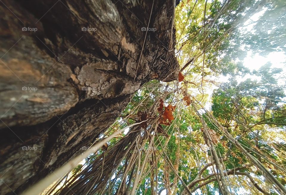 Dream without boundaries