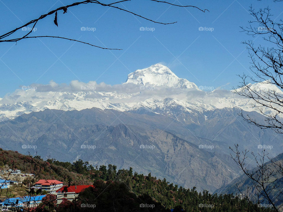Looking at almost the entire Dhaulagiri massif (8,127 m) from the trail above Ghorepani. Photo taken on the Annapurna Base Camp Trek in Nepal.