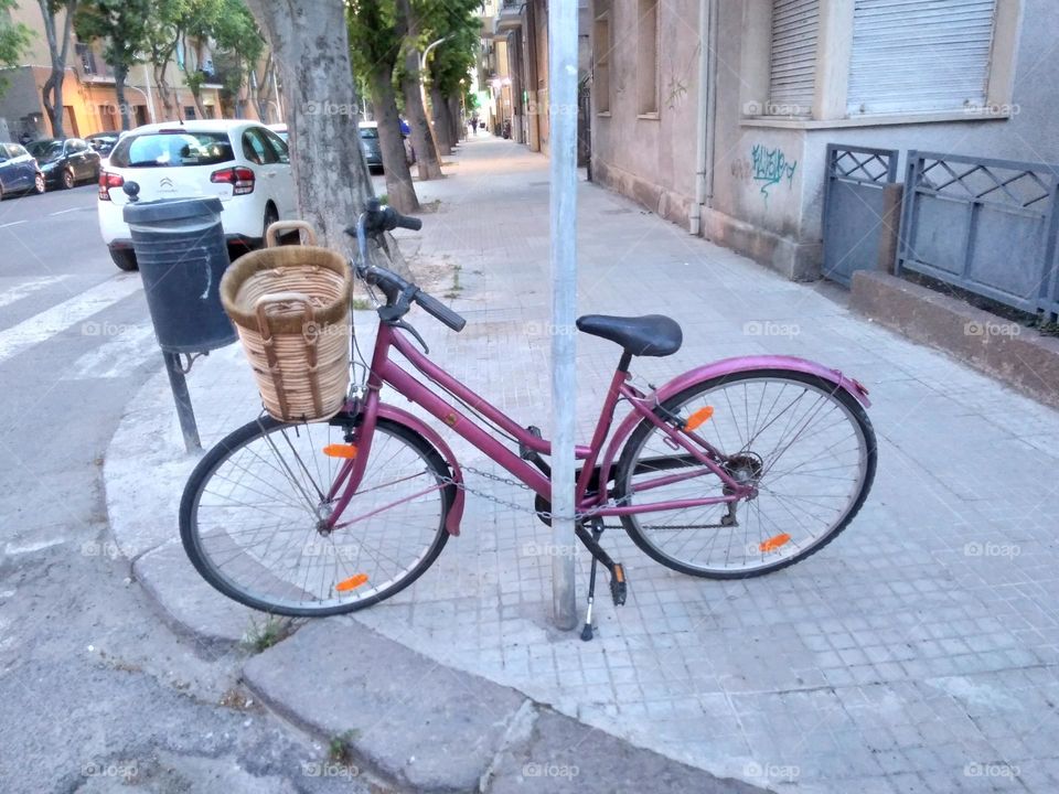 Editors' Choice: Photo of the Week