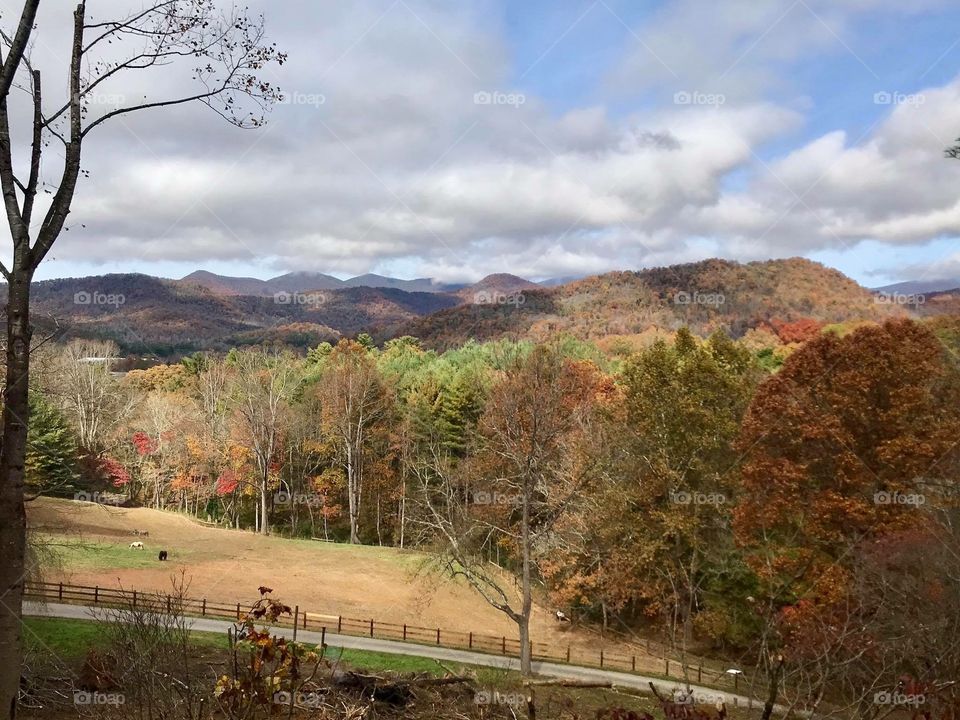 Beautiful fall day at the new farm