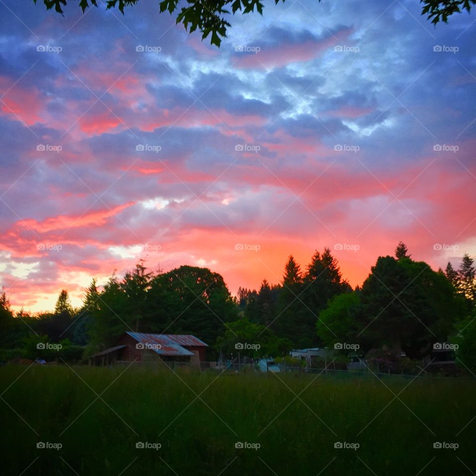 Sunset Drama. Evening sun reflecting off clouds in my front yard.