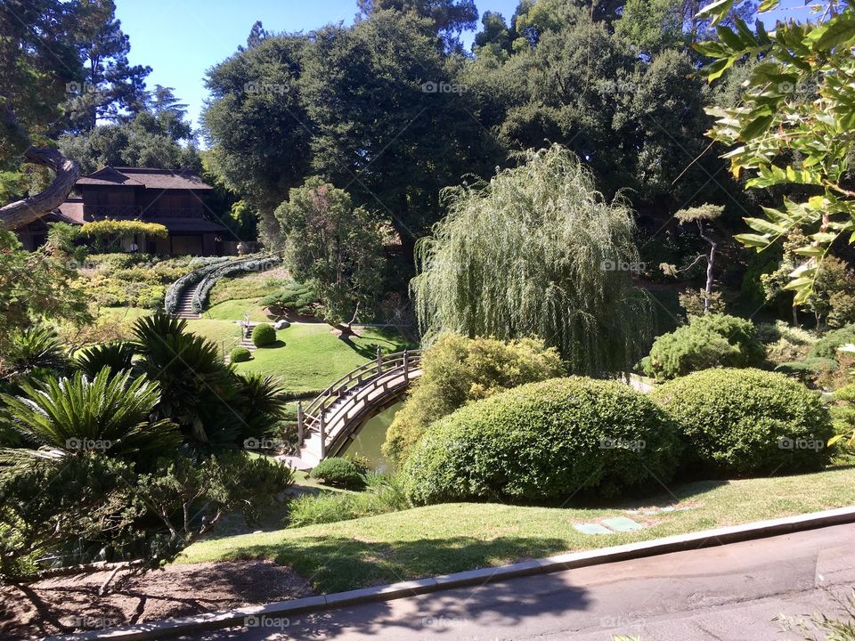 Japanese Garden at Huntington Botanical Gardens.