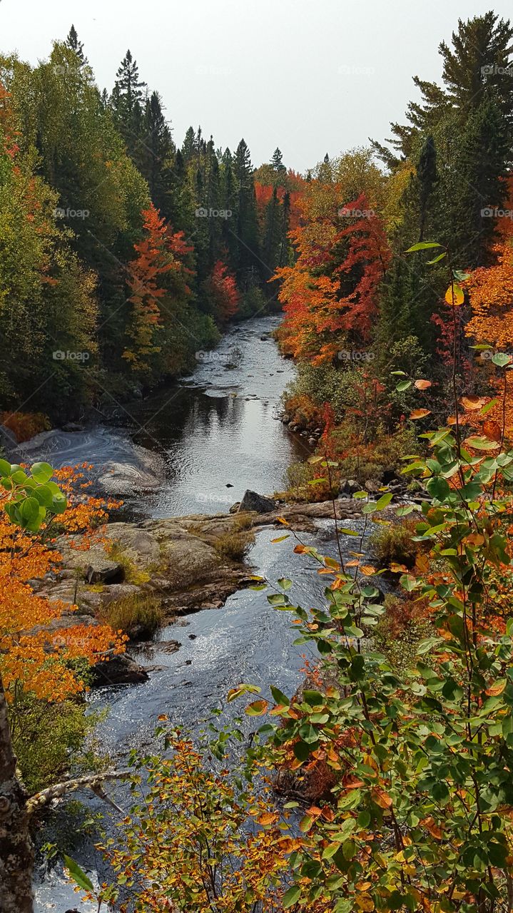 autumn river view