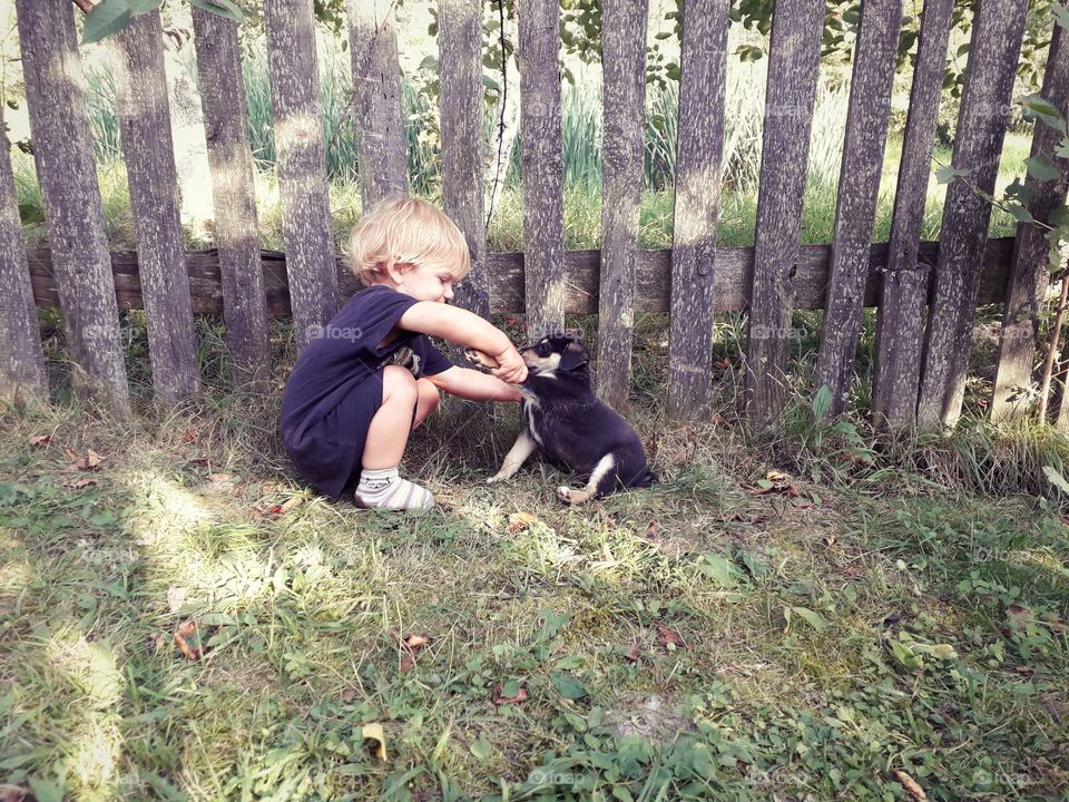 little boy and a puppy