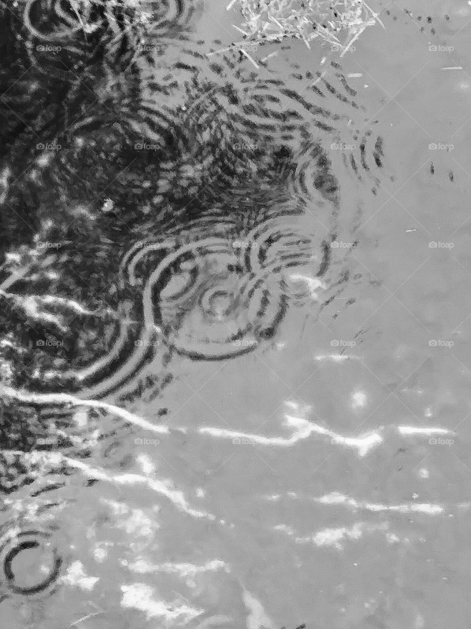 rain patten on water