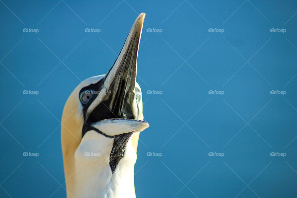 Expressive and minimalist is my focus, taken with a Canon eos camera.