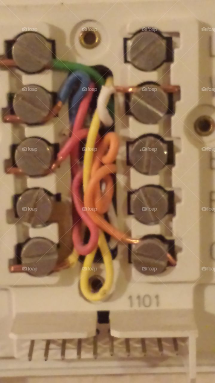 nest wiring