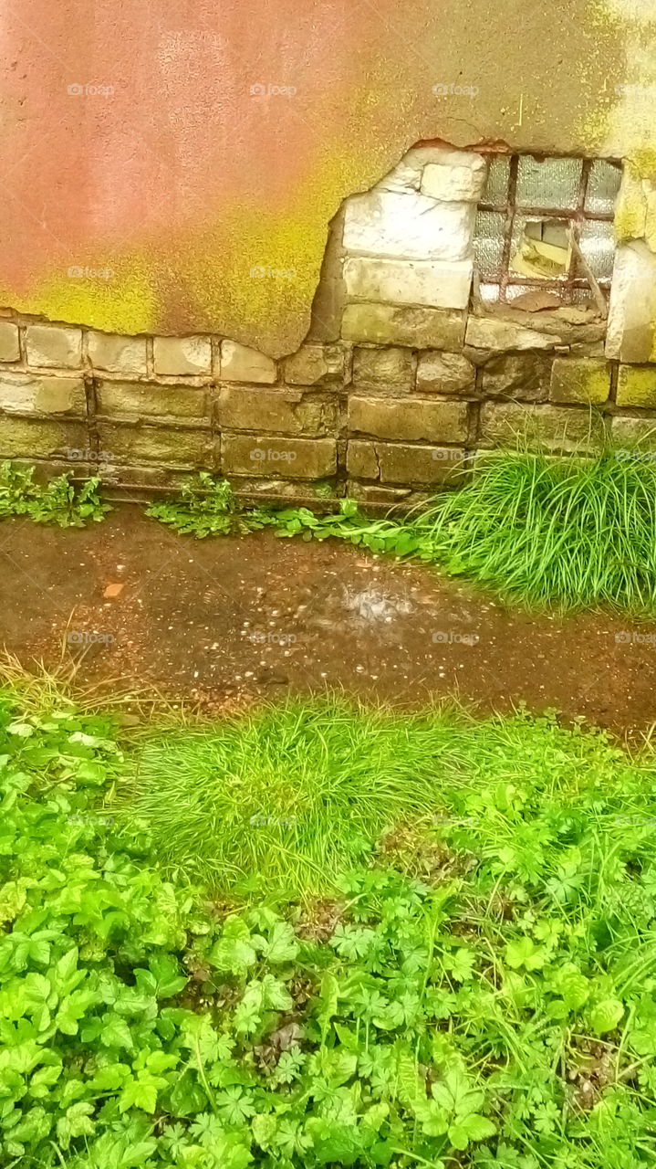 дома.осень.