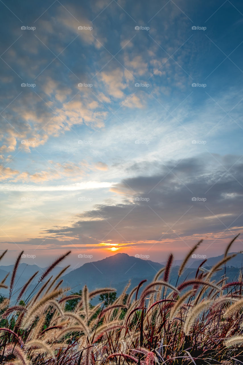 Beautiful sunrise scene above mountain and grass field scape