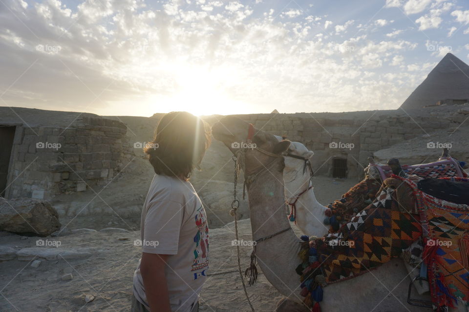 Camel kiss