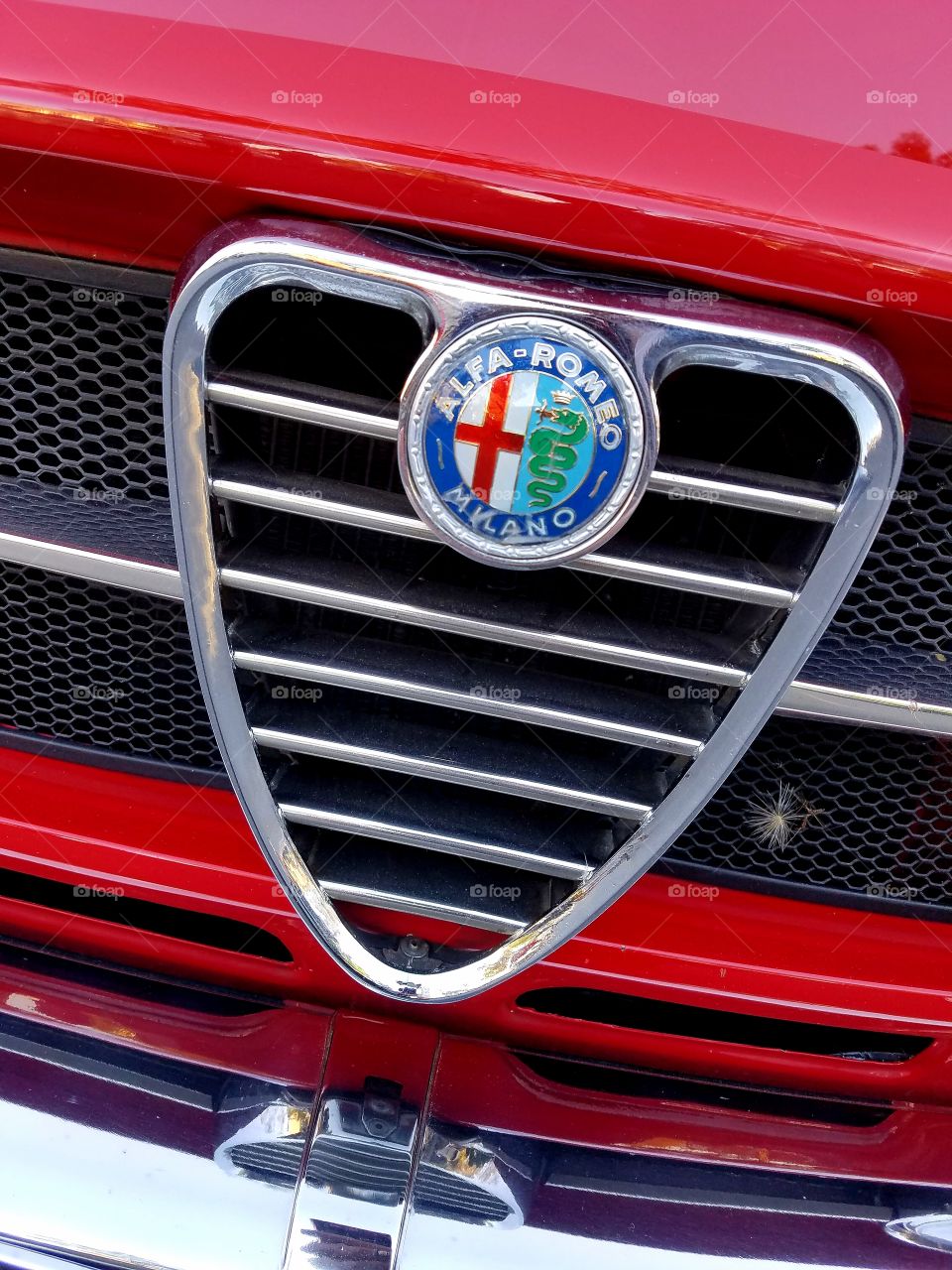 Alfa romeo logo