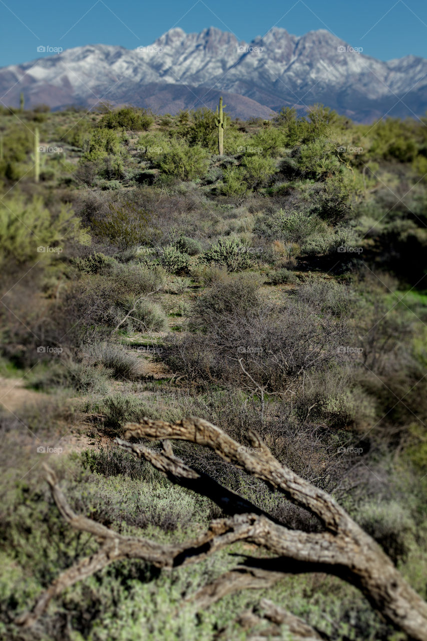 Desert hiking