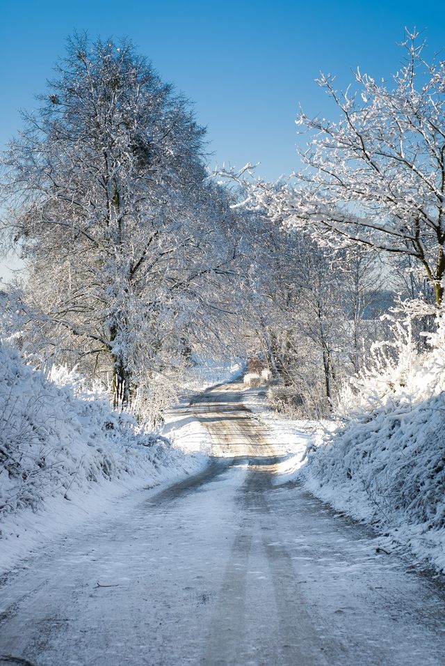 Winter