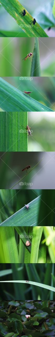 "Small World" Peeks at "Big World"