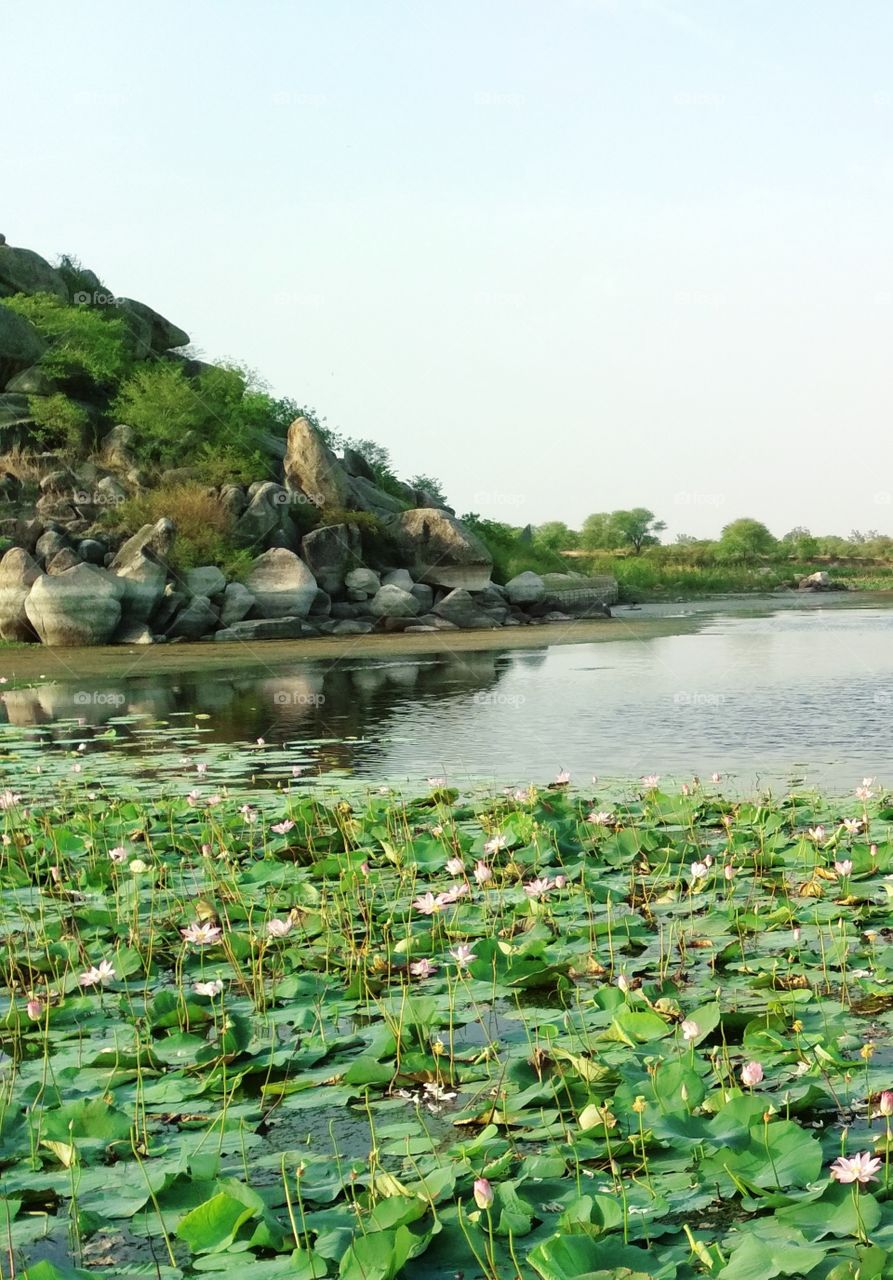 beautiful scenery of nature containing pond and mountain