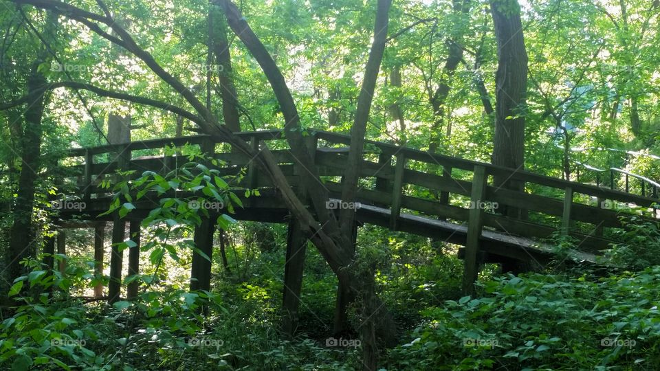 green footbridge