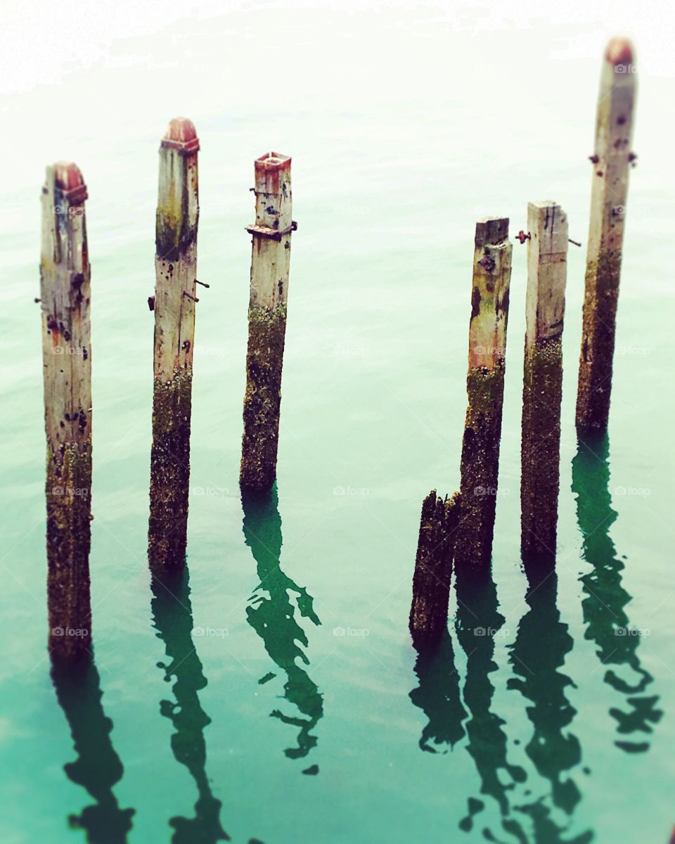 Old wooden pilings decaying in the sea at the end of Hastings pier