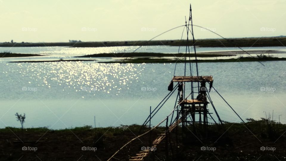 Catch fish in the swamp