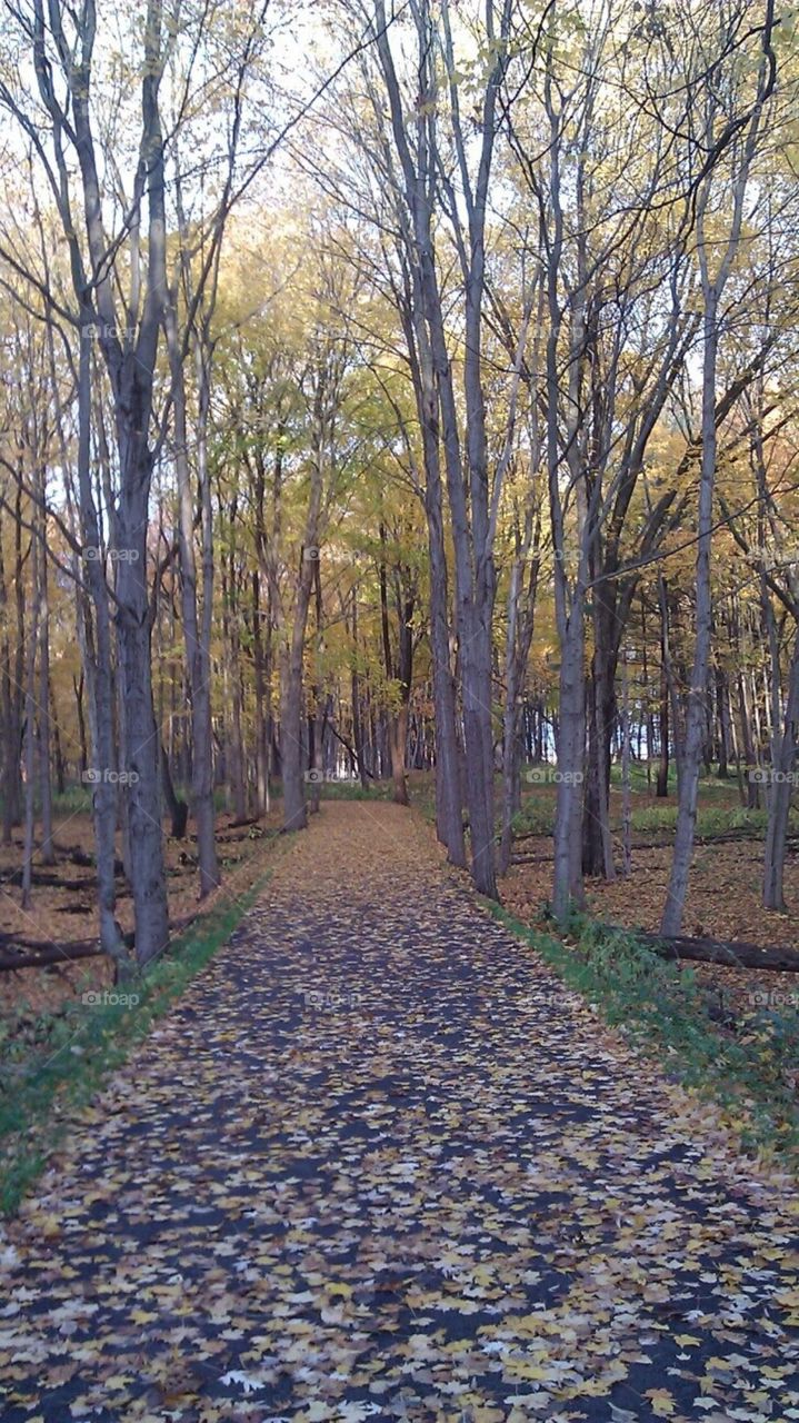A walk in Autumn ❤️