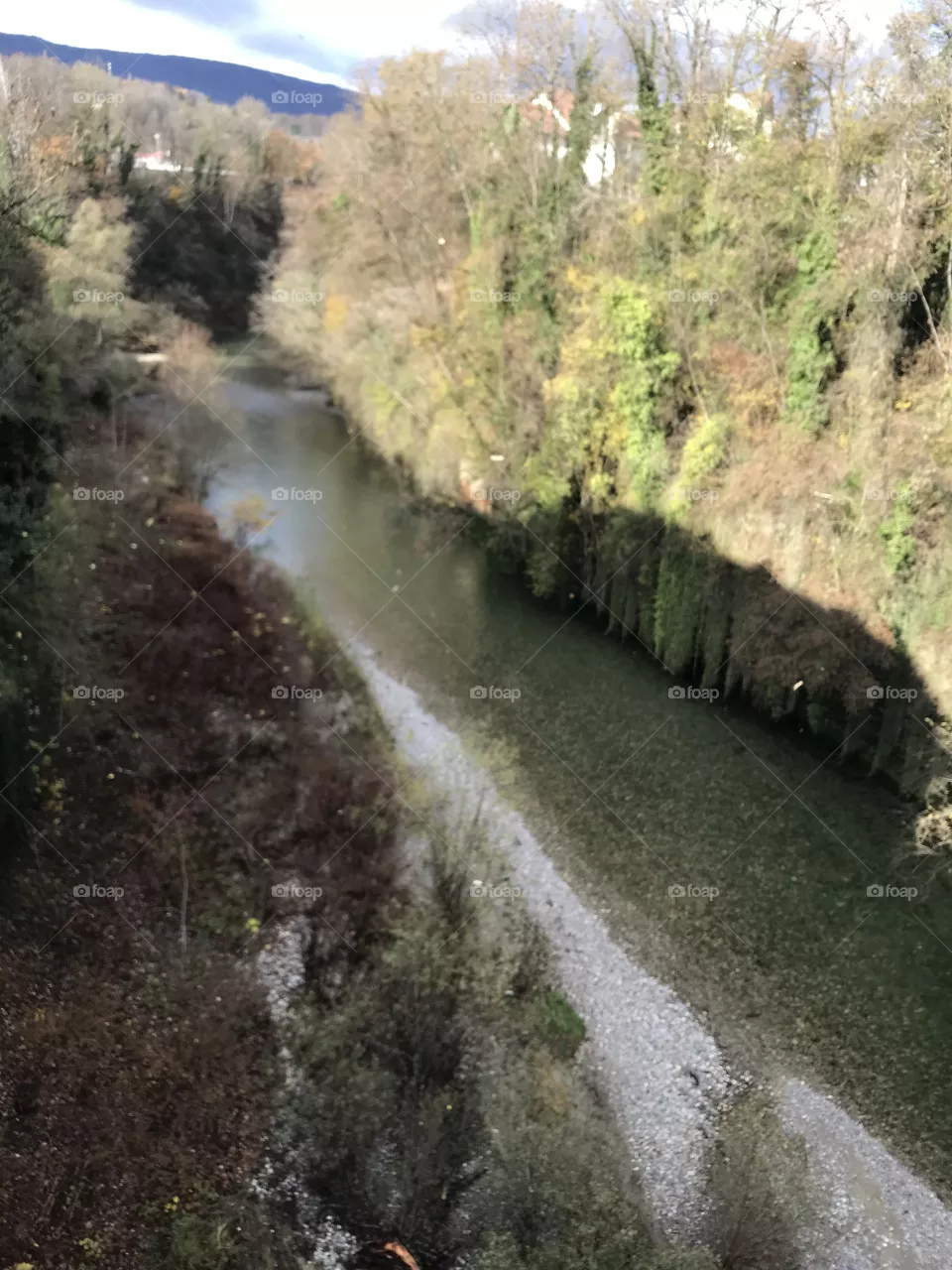 Nature 