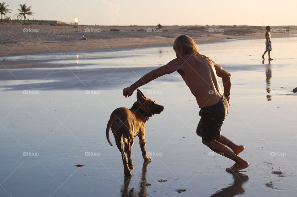 Man playing with dog in the beach with low tide 