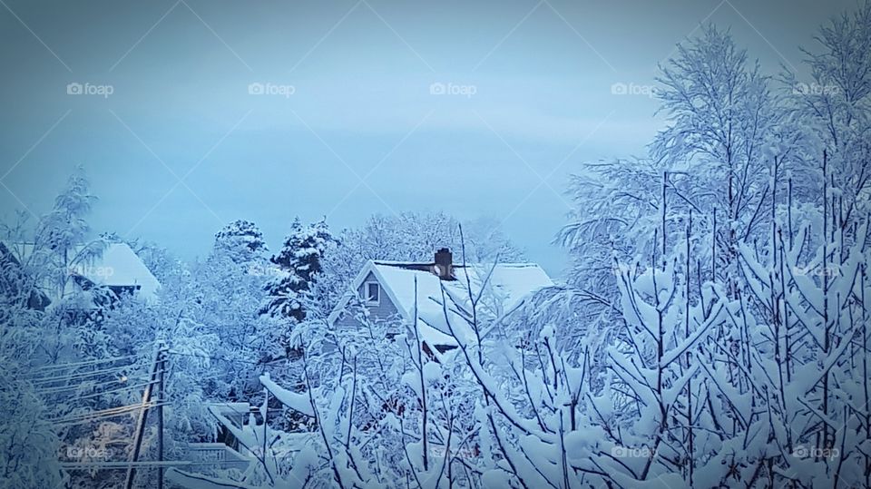 Norway winter the blue houre