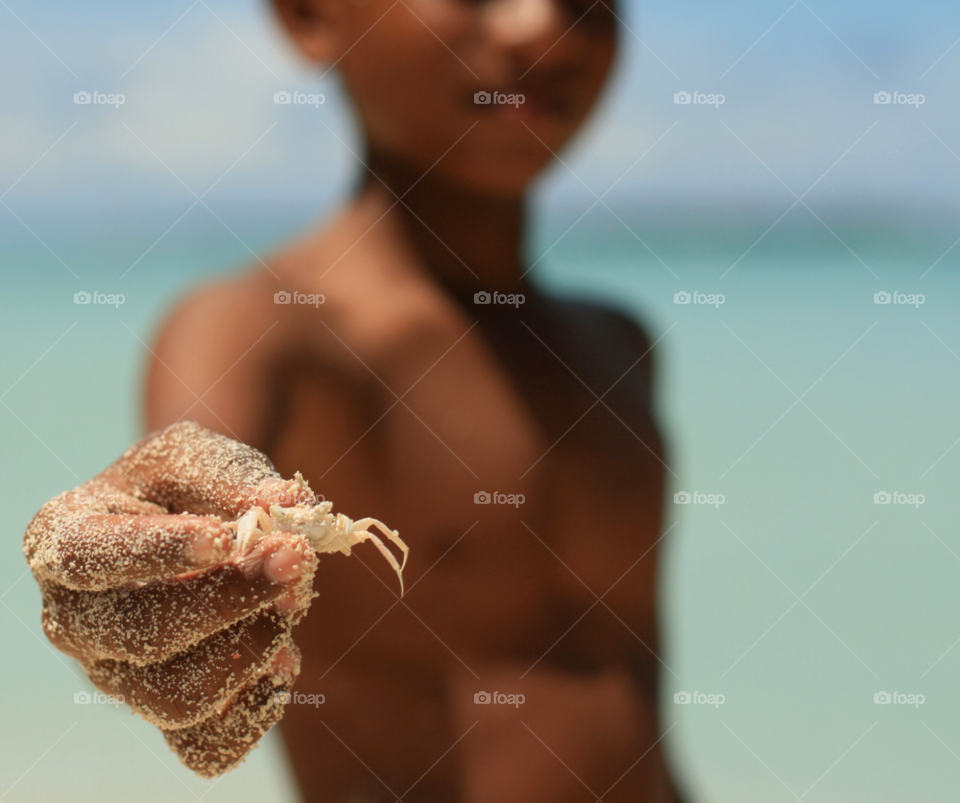 beach nature travel summer by maapu