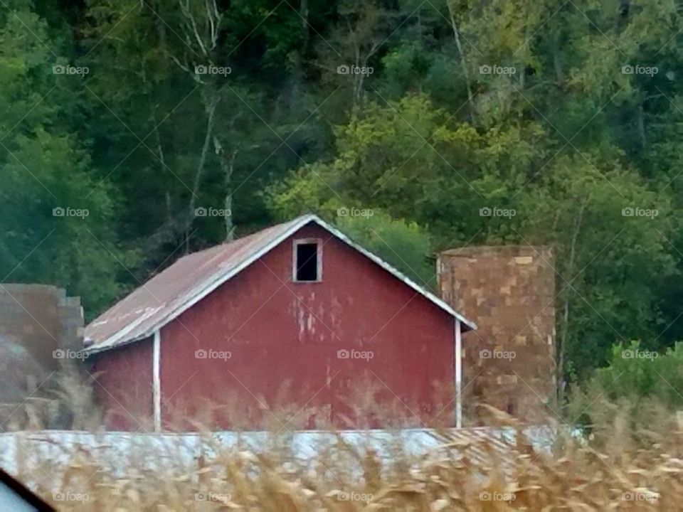 Driving the Back Roads and enjoying everything around us