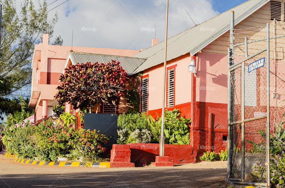 Plants Beside School Building