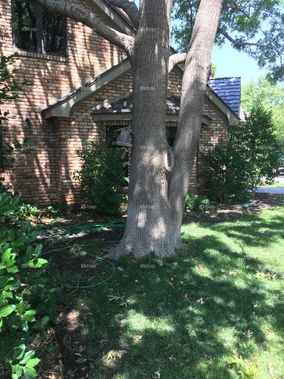 This is a picture of the Texas panhandle neighborhood that I love to paint in, located in Amarillo Texas 