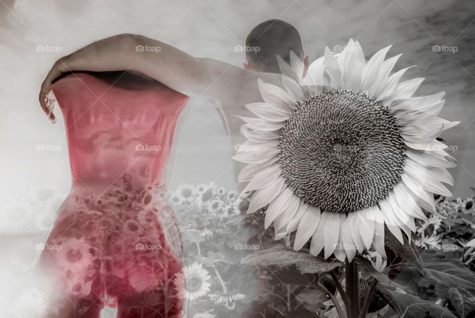 Adam and Eve in a blurred dream with big sunflower
