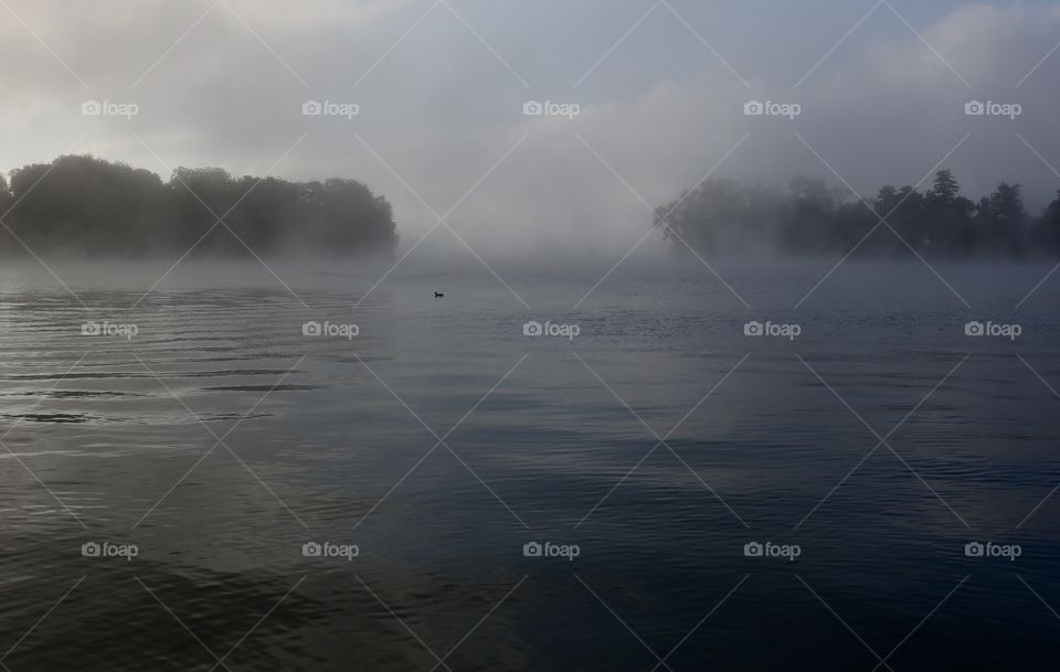 Scenic view of idyllic lake during foggy weather