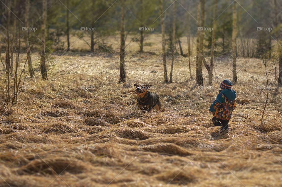 Little boy and dog playing outside