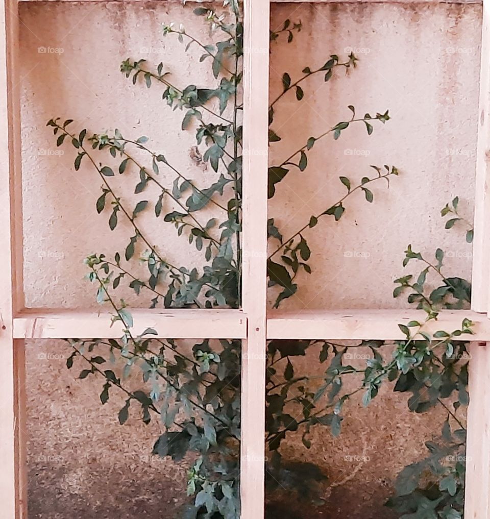 self Framing  is an Art