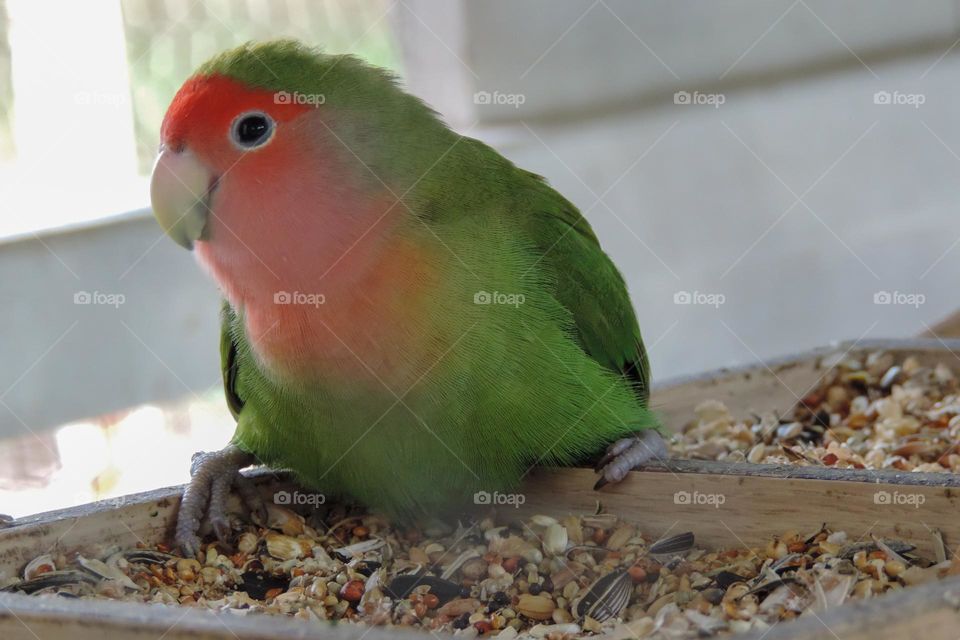 So sweet and beautiful,  even with your imperfections